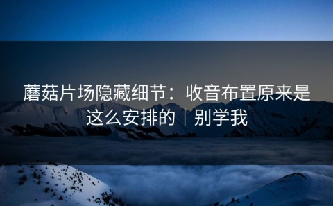 蘑菇片场隐藏细节：收音布置原来是这么安排的｜别学我