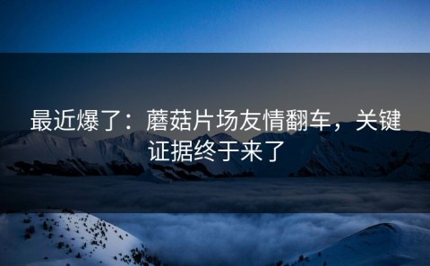 最近爆了：蘑菇片场友情翻车，关键证据终于来了