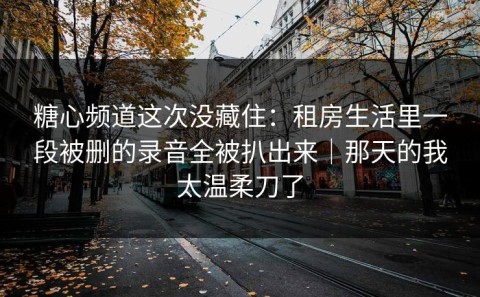 糖心频道这次没藏住：租房生活里一段被删的录音全被扒出来｜那天的我太温柔刀了