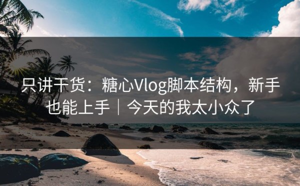 只讲干货：糖心Vlog脚本结构，新手也能上手｜今天的我太小众了