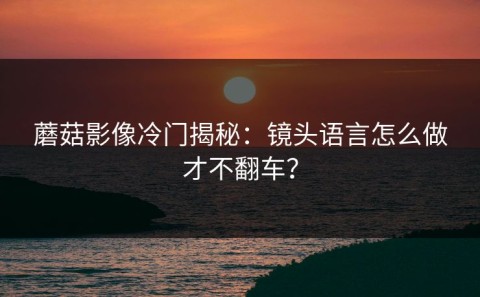 蘑菇影像冷门揭秘：镜头语言怎么做才不翻车？