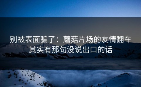 别被表面骗了：蘑菇片场的友情翻车其实有那句没说出口的话