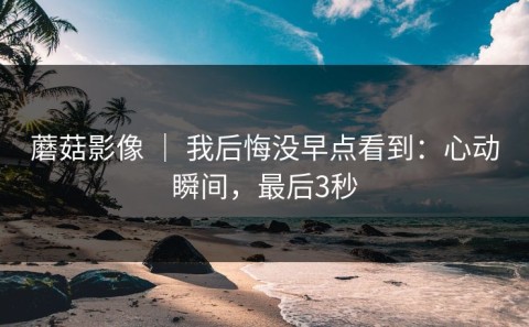 蘑菇影像 ｜ 我后悔没早点看到：心动瞬间，最后3秒