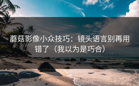 蘑菇影像小众技巧：镜头语言别再用错了（我以为是巧合）