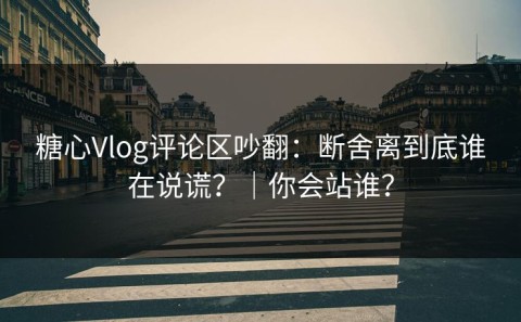 糖心Vlog评论区吵翻：断舍离到底谁在说谎？｜你会站谁？
