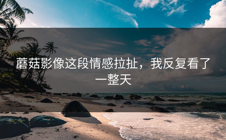 蘑菇影像这段情感拉扯，我反复看了一整天