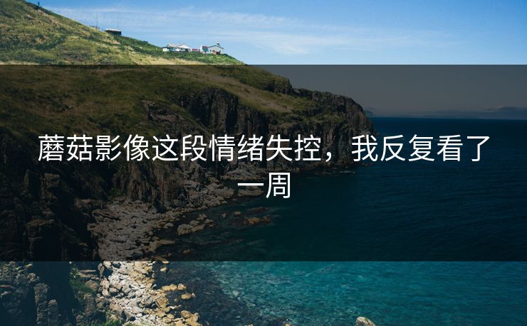 蘑菇影像这段情绪失控，我反复看了一周
