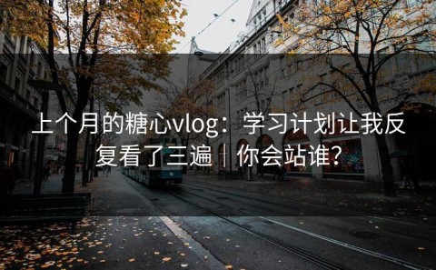 上个月的糖心vlog：学习计划让我反复看了三遍｜你会站谁？
