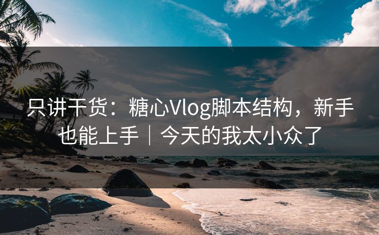 只讲干货：糖心Vlog脚本结构，新手也能上手｜今天的我太小众了