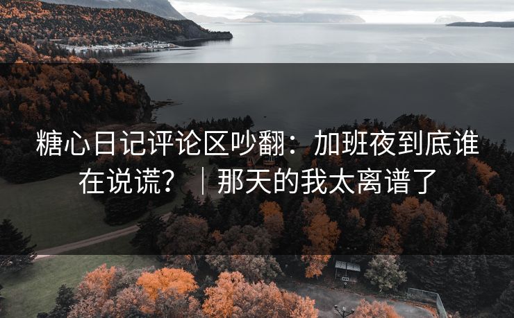 糖心日记评论区吵翻：加班夜到底谁在说谎？｜那天的我太离谱了