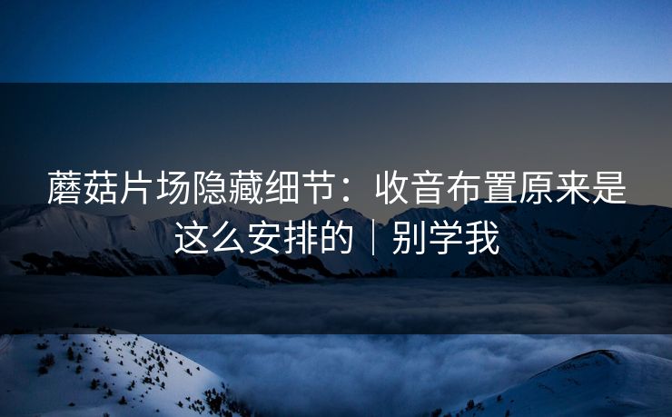 蘑菇片场隐藏细节：收音布置原来是这么安排的｜别学我