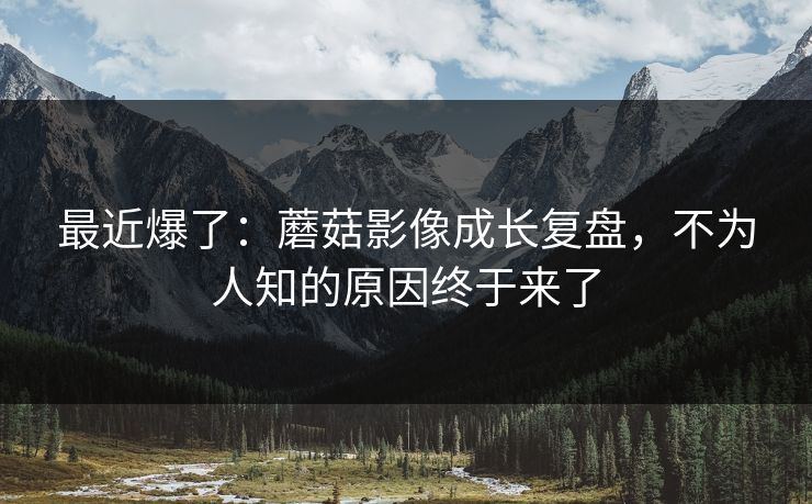 最近爆了：蘑菇影像成长复盘，不为人知的原因终于来了