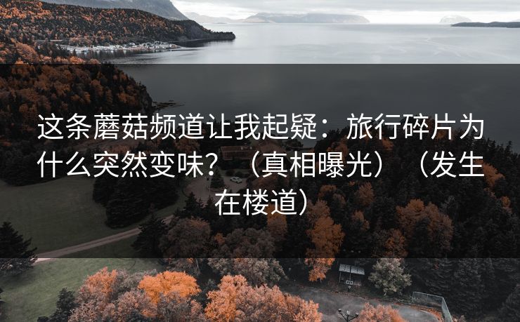 这条蘑菇频道让我起疑：旅行碎片为什么突然变味？（真相曝光）（发生在楼道）